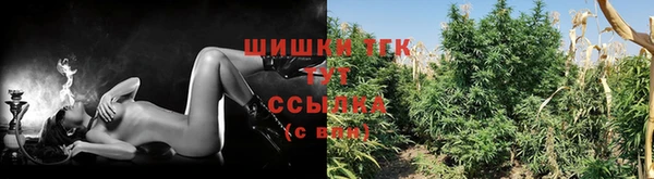 МДПВ Нея
