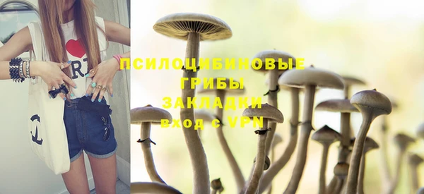 не бодяженный Нефтегорск