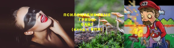 МДПВ Нея